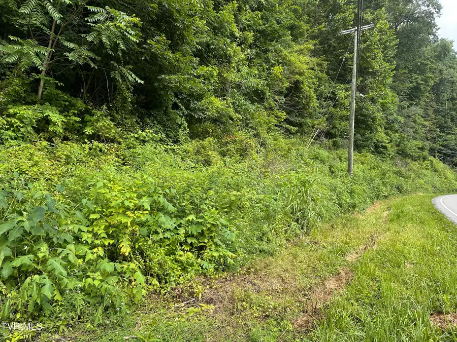 Tbd Wise Street, Saint Paul, VA 24283 - Image #2