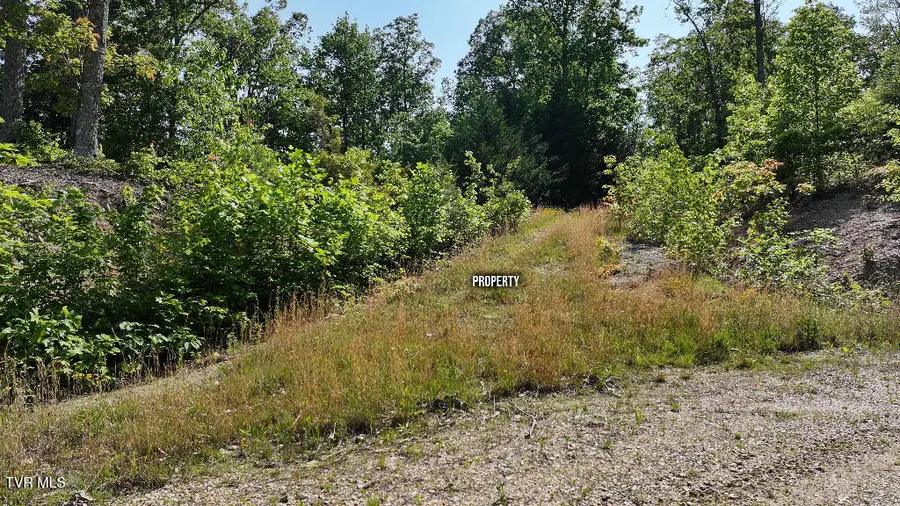 1405 Tamarack Court, Butler, TN 37640 - Image #2