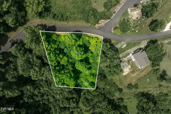 Lot 10 Lake Ridge Road, Butler, TN 37640