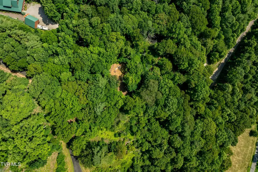 Lot 33 Lake Ridge Road, Butler, TN 37640 - Image #2