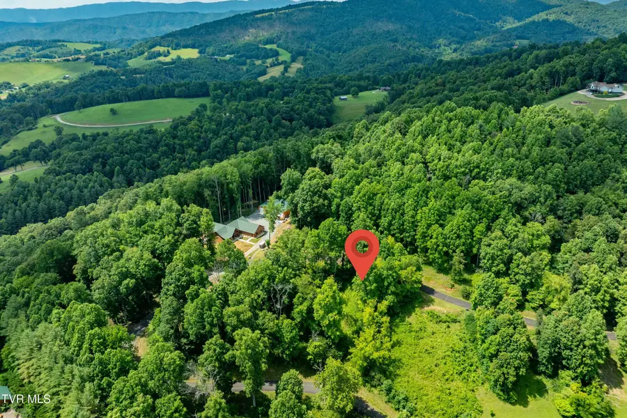 Lot 17 Lake Ridge Road, Butler, TN 37640 - Image #3