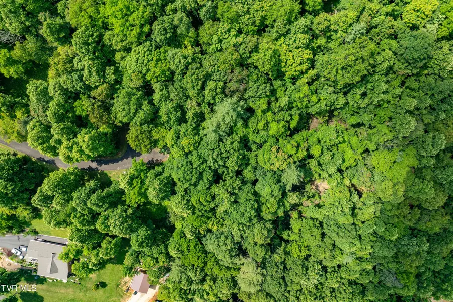 Lot 21 Lake Ridge Road, Butler, TN 37640 - Image #2