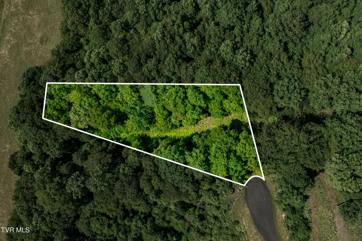 Lot 30 Lake Ridge Road, Butler, TN 37640 - Image #1