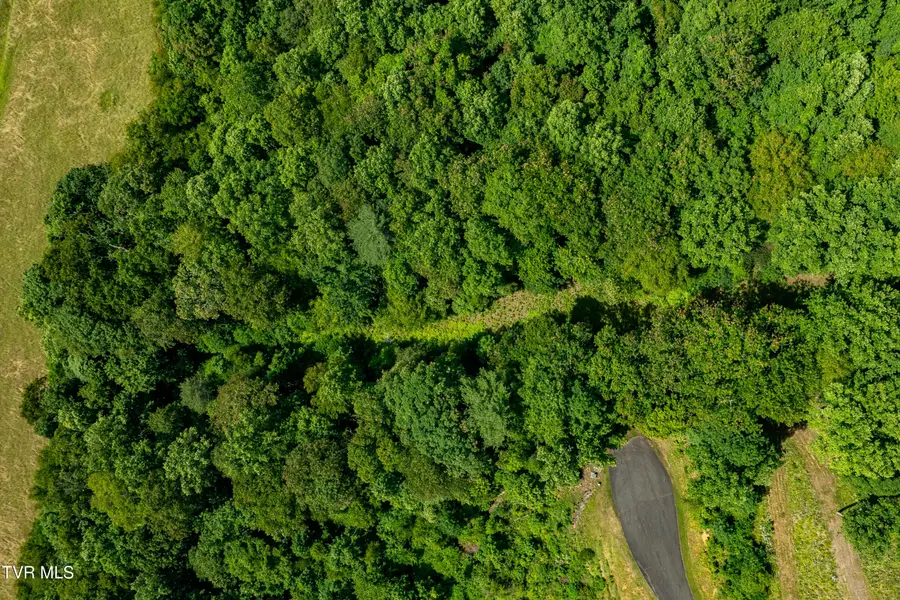 Lot 30 Lake Ridge Road, Butler, TN 37640 - Image #2