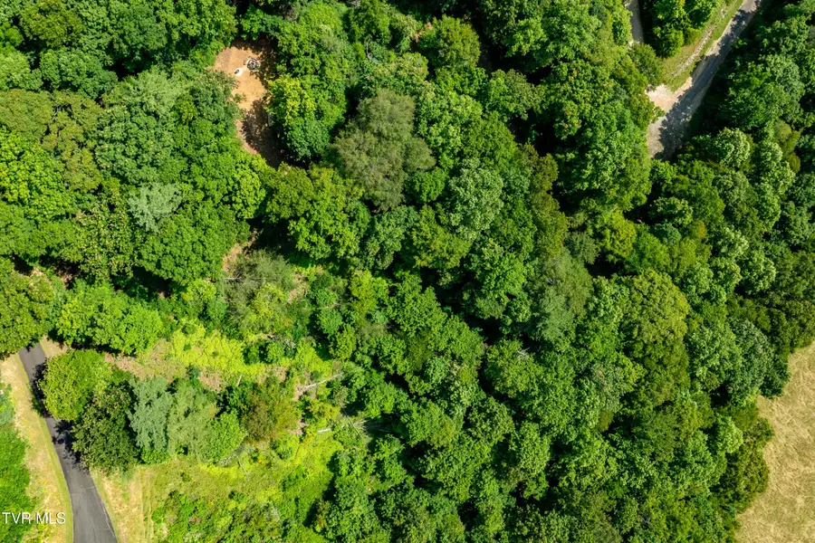 Lot 32 Lake Ridge Road, Butler, TN 37640 - Image #2