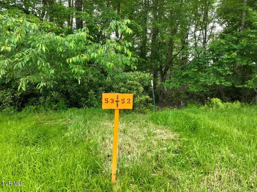 1762 Ripshin Mountain Road, Roan Mountain, TN 37687 - Image #2