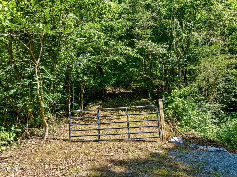 00 Shortt 10.25 Acres Road, Mooresburg, TN 37811 - Image #3