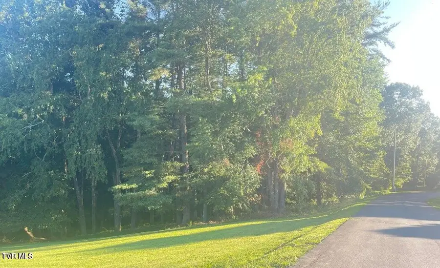 Tbd Off Warrior/country Acres Lane, Elizabethton, TN 37643 - Image #3