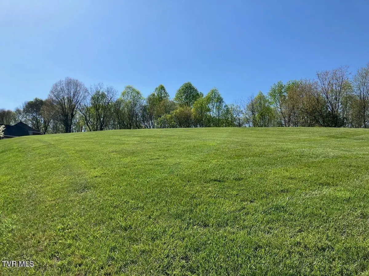 112 Ridgetop Drive, Johnson City, TN 37601 - #1