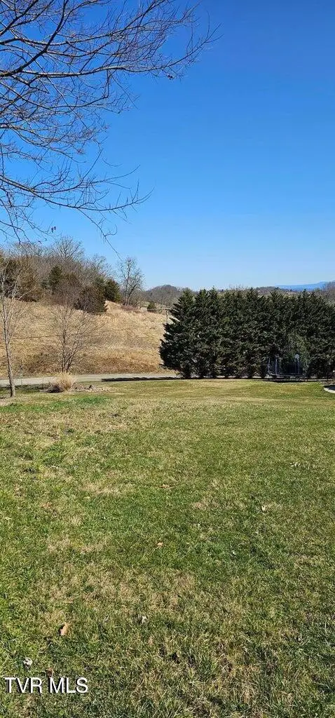 112 Ridgetop Drive, Johnson City, TN 37601 - #3