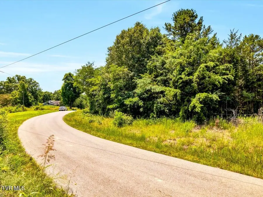 1 Mohawk Ridge Rd, Bulls Gap, TN 37711 - Image #3