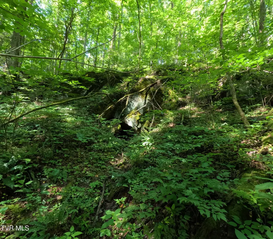 1 Off Broyles Road, Greeneville, TN 37745 - Image #2