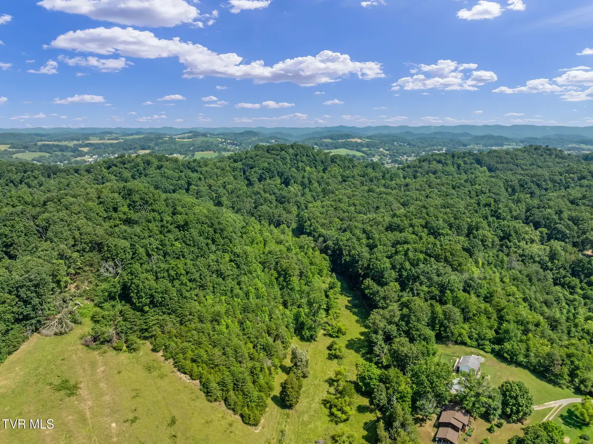 Tbd Hermitage Lane, Mount Carmel, TN 37645 - #1