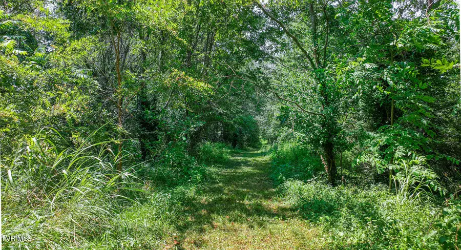 320 Wayland Drive, Greeneville, TN 37743 - Image #2