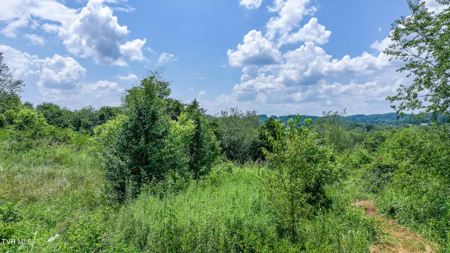 320 Wayland Drive, Greeneville, TN 37743 - Image #3