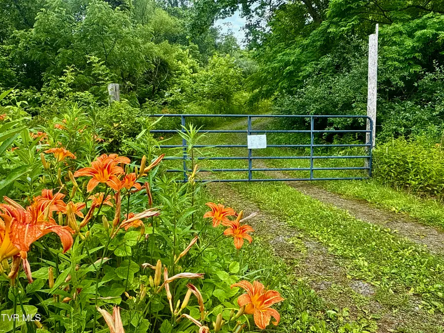 131 Gibson Hollow Road, Eidson, TN 37731 - Image #3