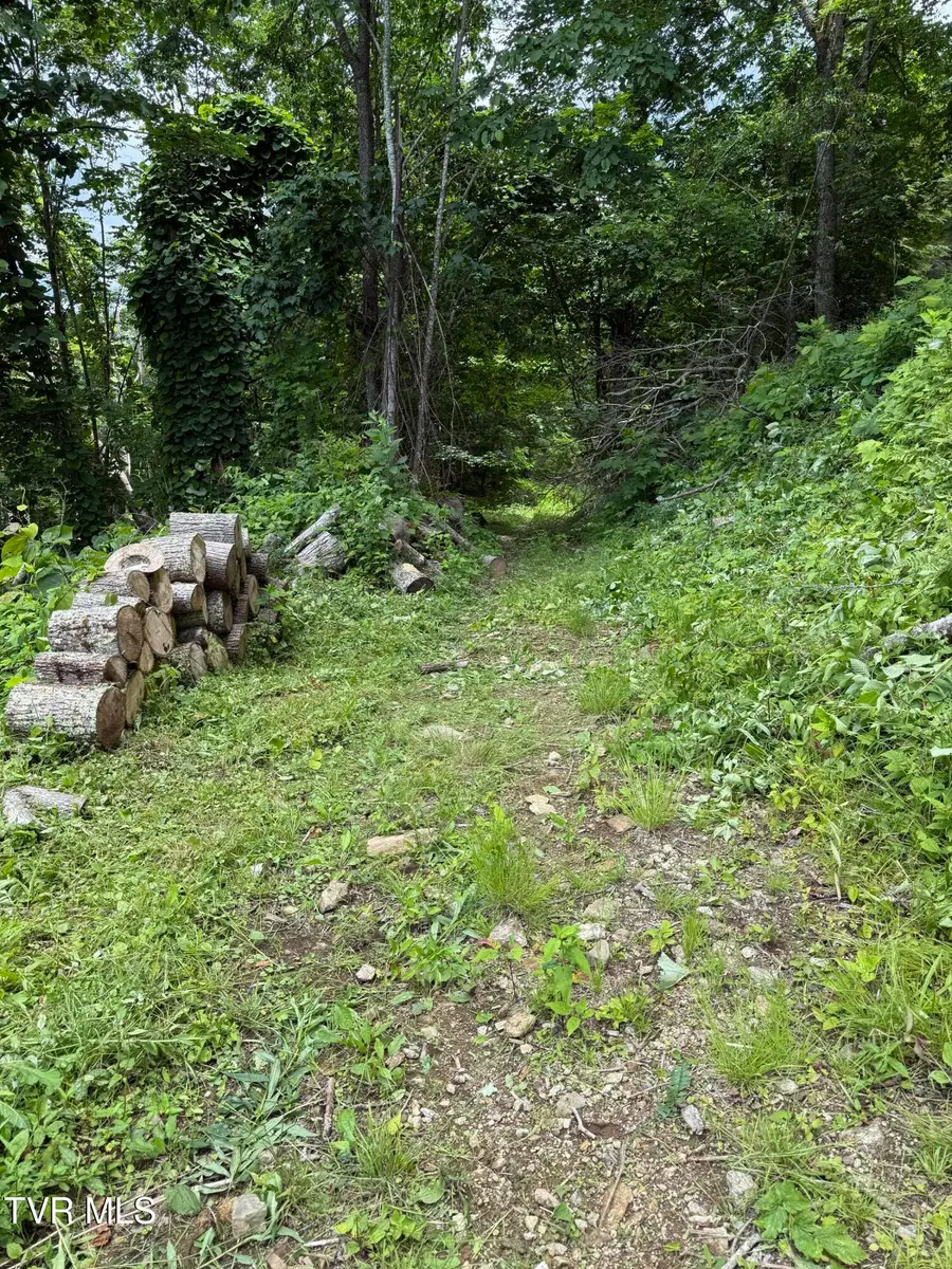 Tbd Log Cabin Lane, Roan Mountain, TN 37687 - Image #3