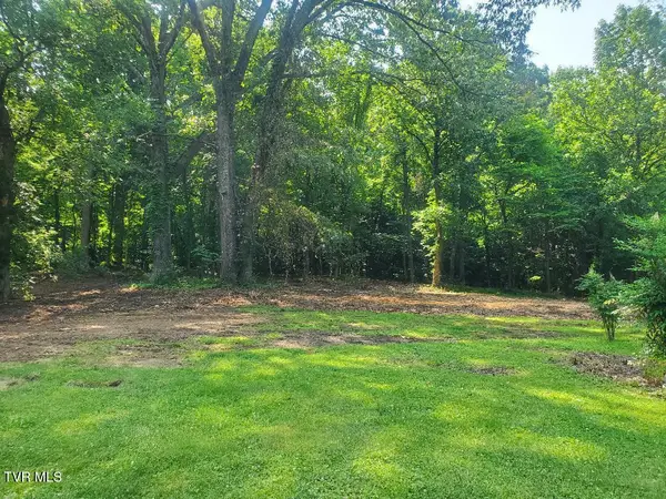 349 Spice Hollow Road, Johnson City, TN 37604