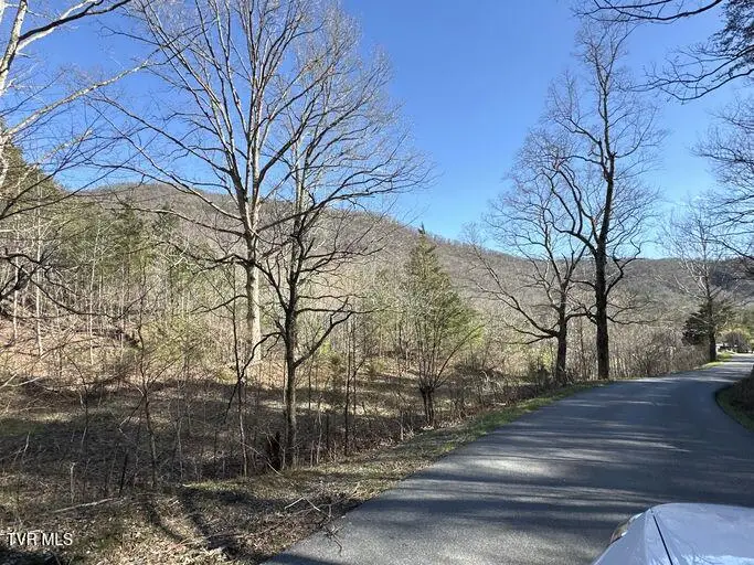 2063 Kelley Gap Road, Greeneville, TN 37743 - Image #2