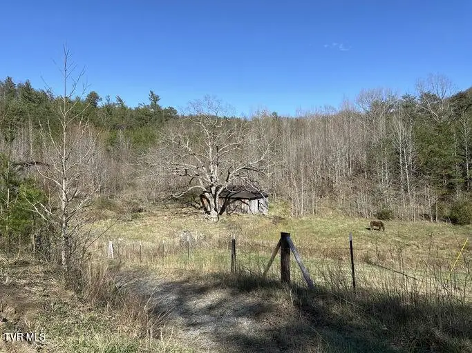 2063 Kelley Gap Road, Greeneville, TN 37743 - Image #3