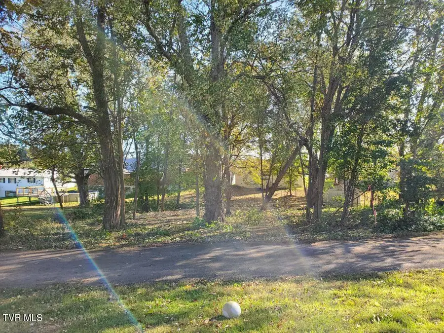 0 East Iris East Street, Mosheim, TN 37818 - Image #3