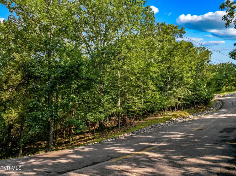 1308 Muskogee Drive, Mooresburg, TN 37811 - Image #3