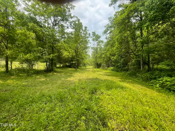 1028 East Pumpkin Valley Road, Eidson, TN 37731