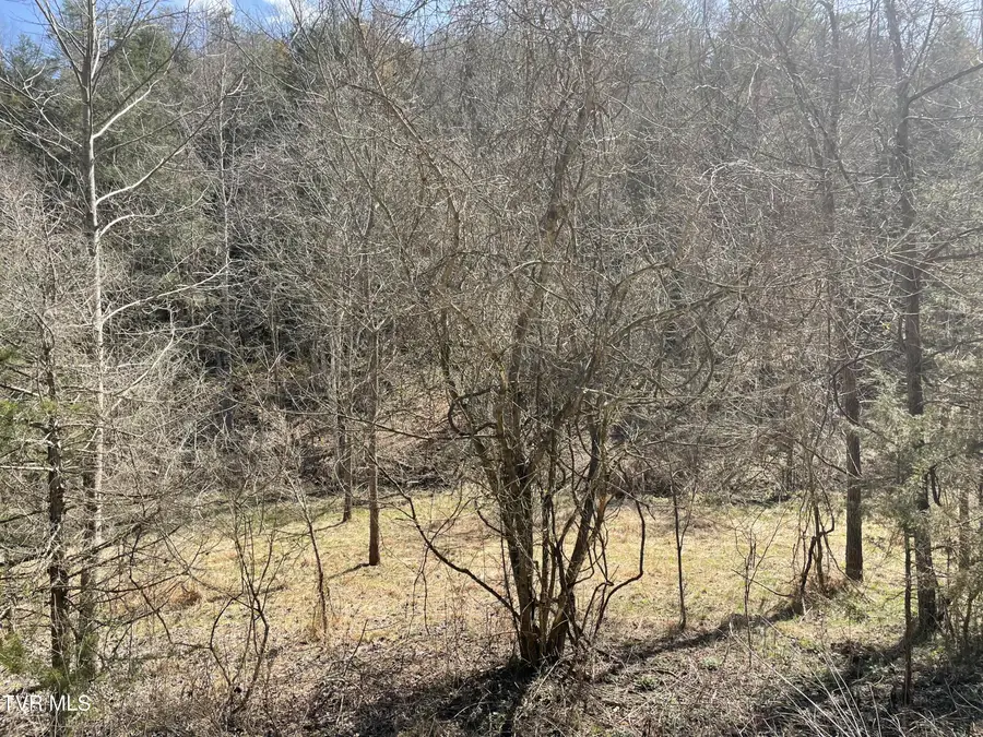 1028 East Pumpkin Valley Road, Eidson, TN 37731 - Image #3