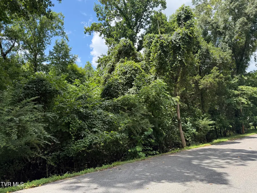 0 Log Cabin Lane, Johnson City, TN 37615 - Image #2