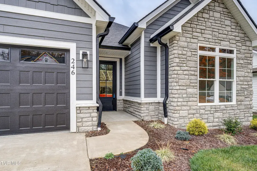 246 Winston Place, Johnson City, TN 37615 - Image #3