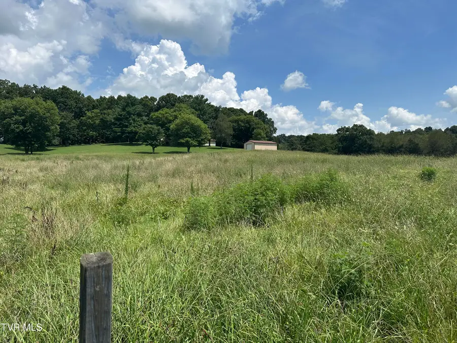 Lot 1 Shackleford Road, Mosheim, TN 37818 - Image #3