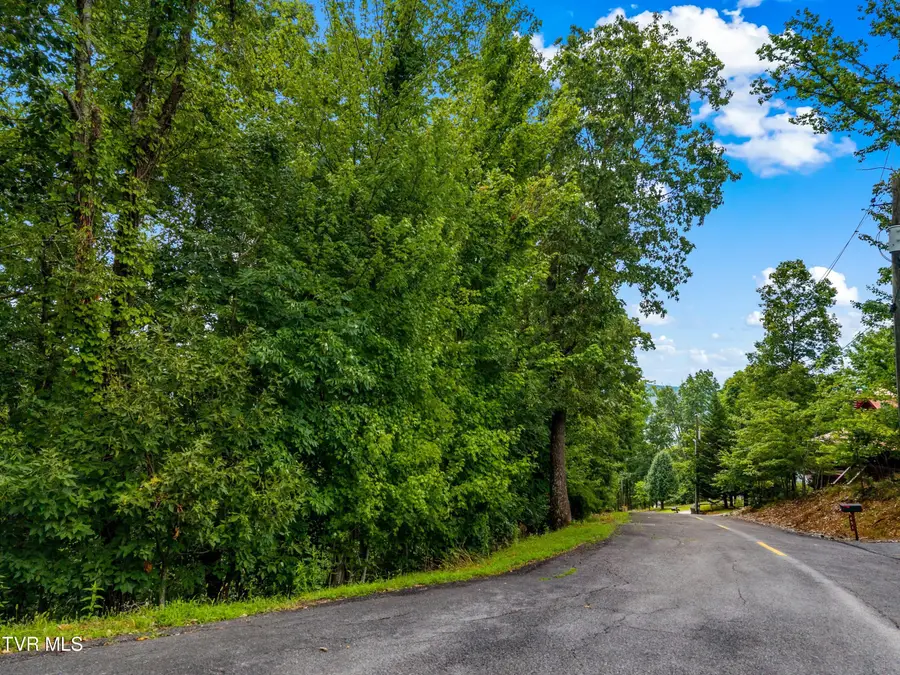 648 Lakeview Drive, Mooresburg, TN 37811 - Image #3