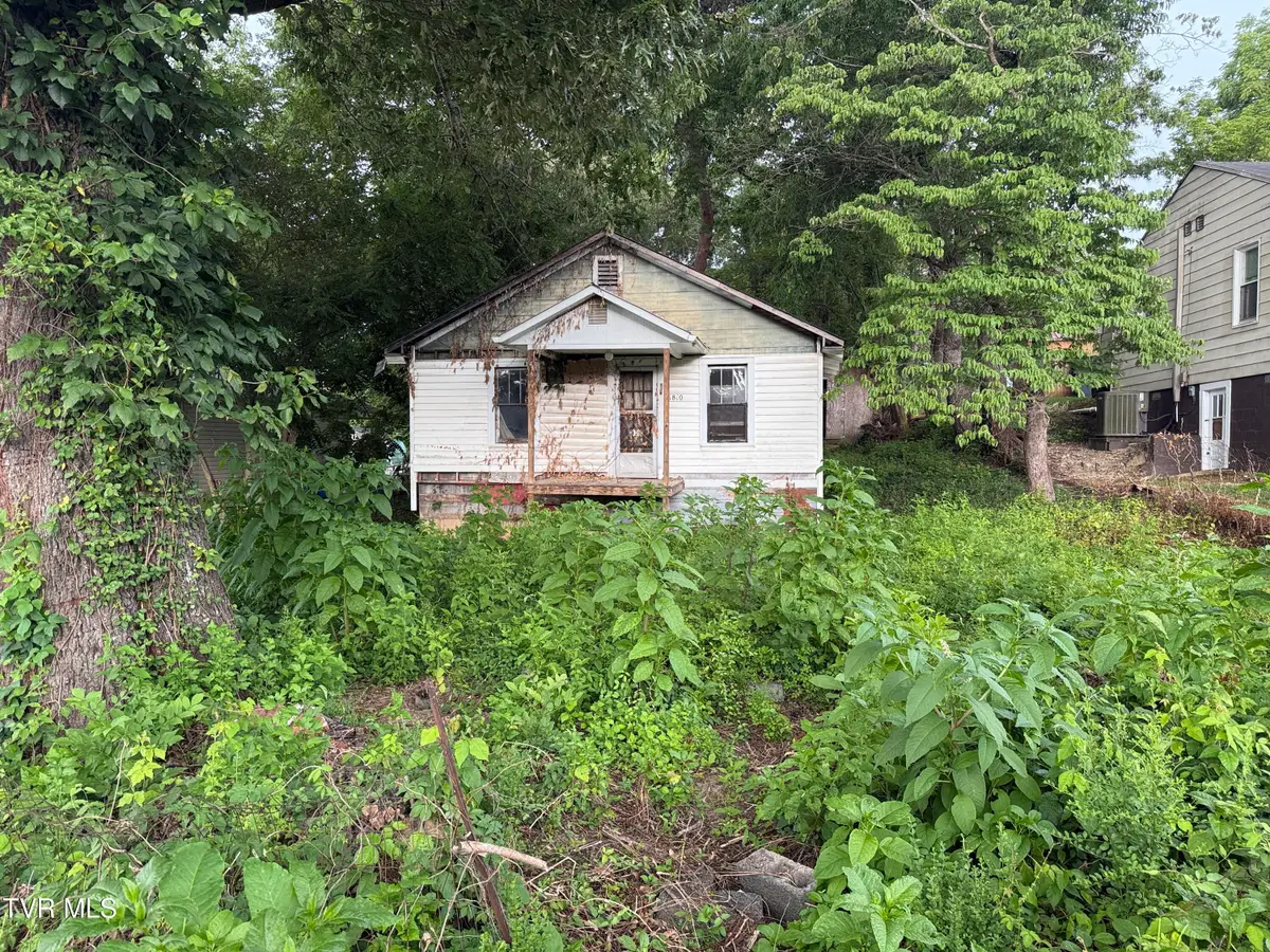 1810 East Watauga Avenue, Johnson City, TN 37601 - Image #1