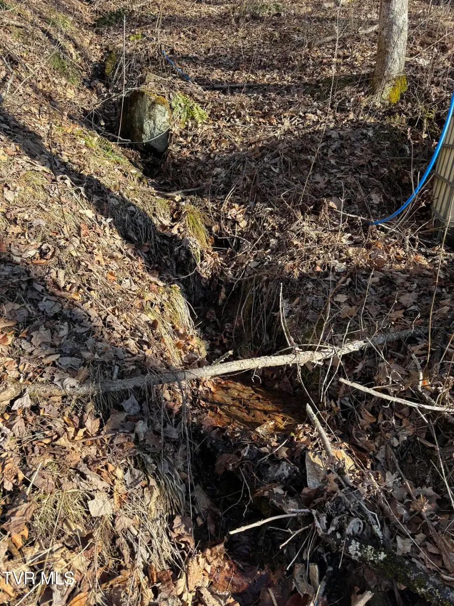 6020 Forge Creek Road, Mountain City, TN 37683 - Image #3