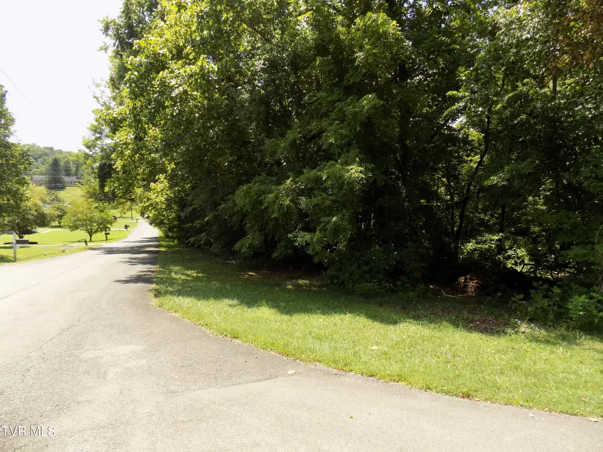 Tbd Lakeshore Circle, Rogersville, TN 37857 - Image #1