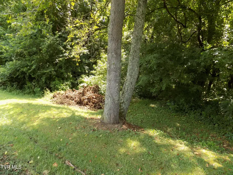 Tbd Lakeshore Circle, Rogersville, TN 37857 - Image #2