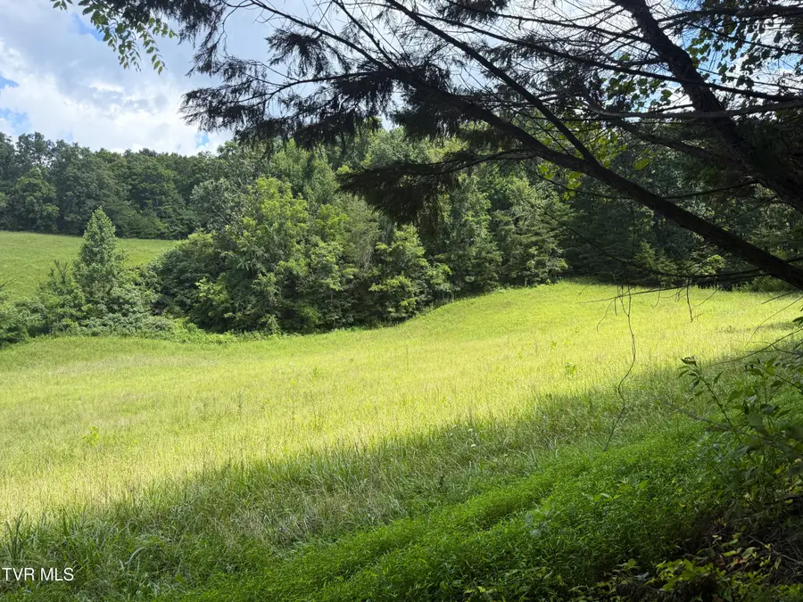 1461 Ponderosa Road, Parrottsville, TN 37843 - Image #2