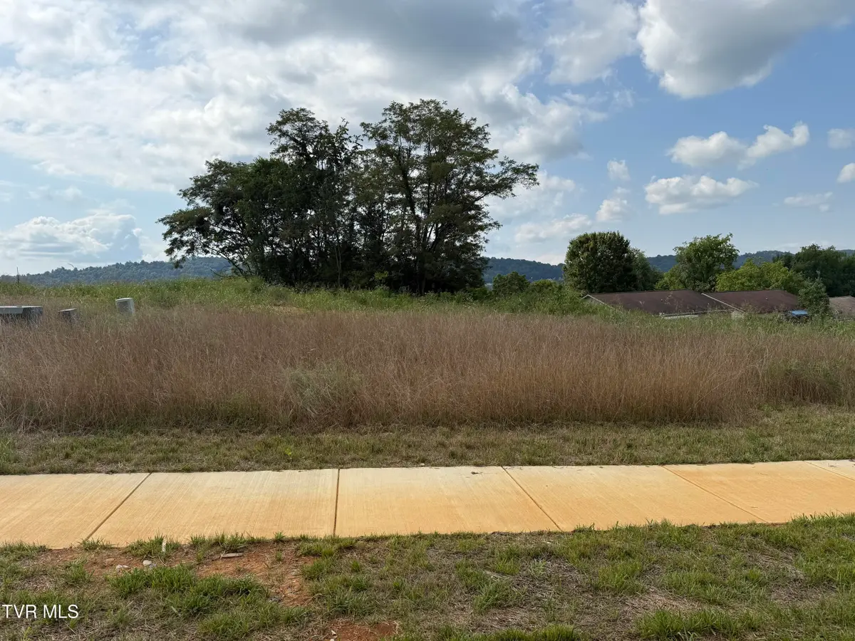 Lot 20 Glaze Farm Way, Johnson City, TN 37601 - Image #1