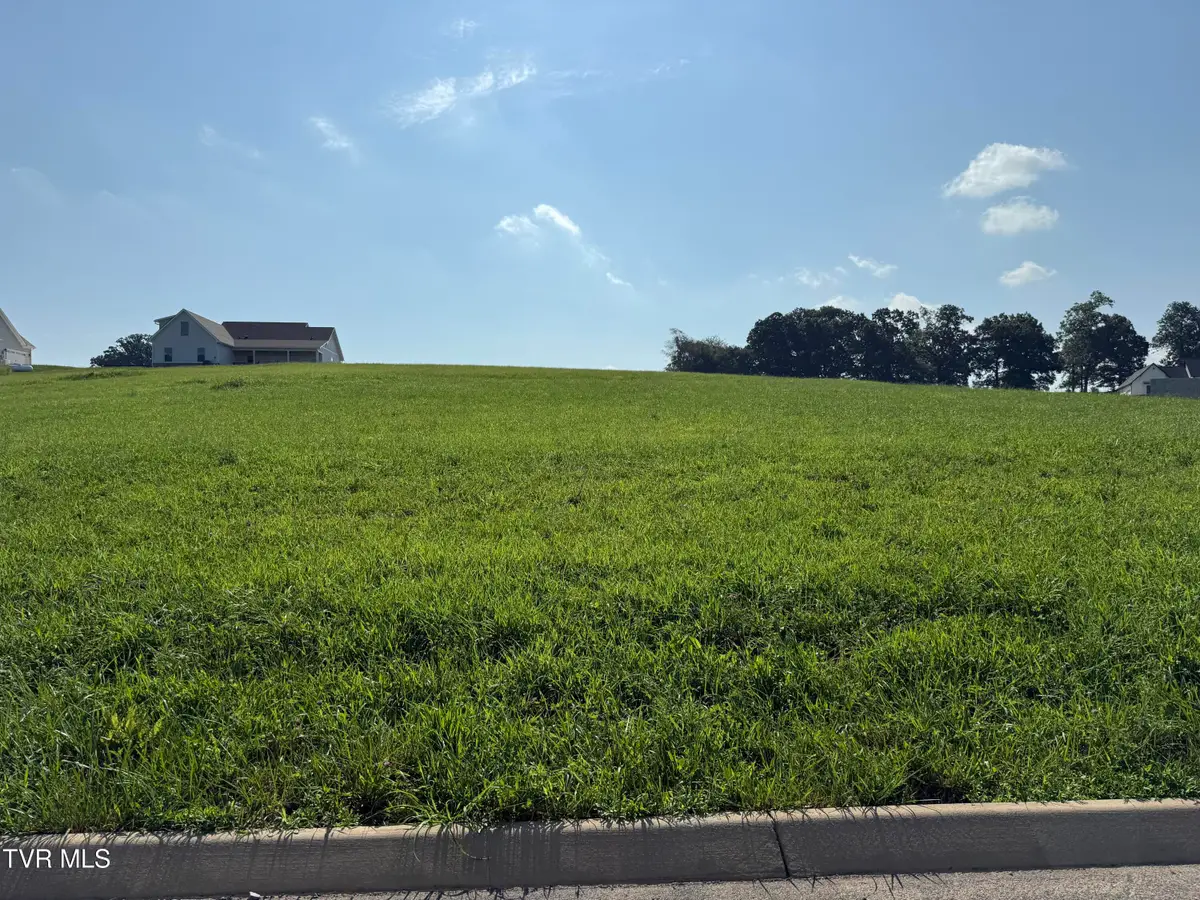 Lot 50 Uncle Buddy's Way, Jonesborough, TN 37659 - #1