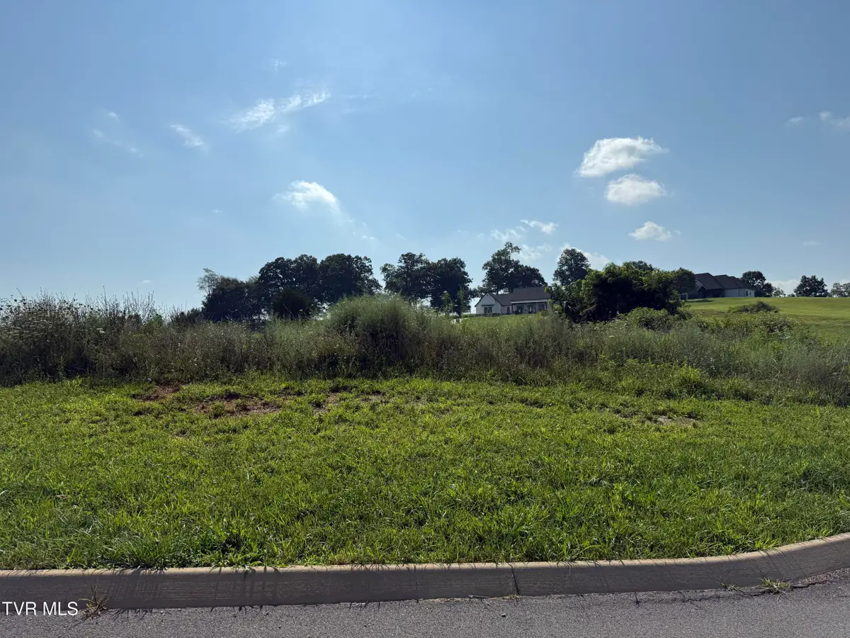 Lot 52 Uncle Buddy's Way, Jonesborough, TN 37659 - Image #1