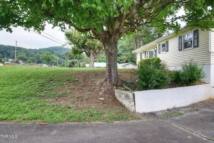 1119 Ledford Street, Elizabethton, TN 37643 - Image #3