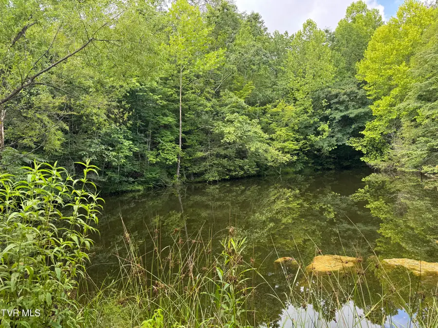 102 Perry Smith Lane, Rogersville, TN 37857 - Image #3