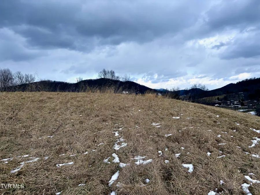 Tbd Maple Wood Drive, Butler, TN 37640 - #2