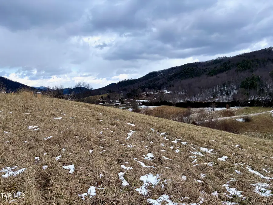 Tbd Maple Wood Drive, Butler, TN 37640 - #3