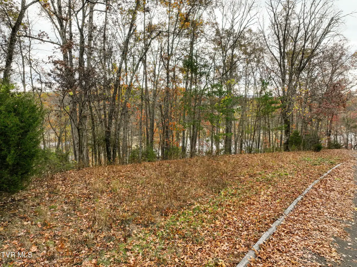 121 Pointe Drive, Piney Flats, TN 37686 - #1