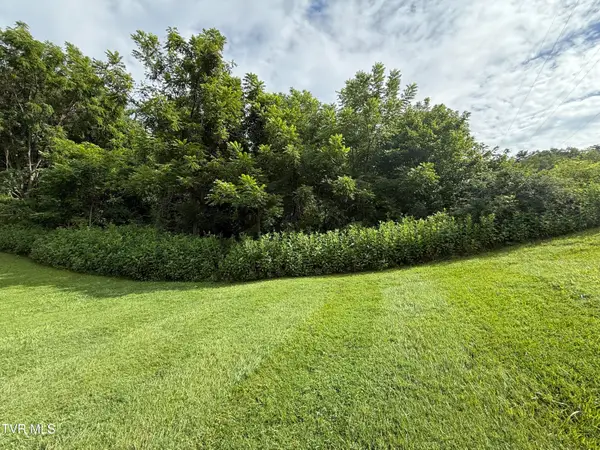 Lot 34 Green Brook Cir, Unicoi, TN 37692