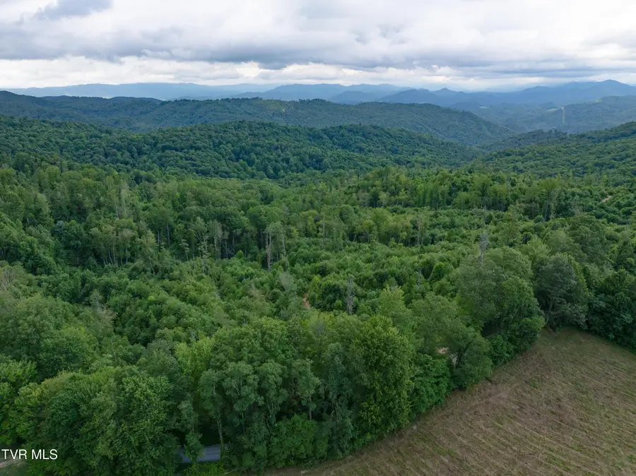 Tbd Walnut Mountain Rd Road, Roan Mountain, TN 37687 - Image #3