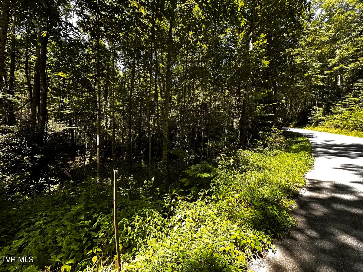 4100 Viking Mountain Road, Greeneville, TN 37743 - Image #1