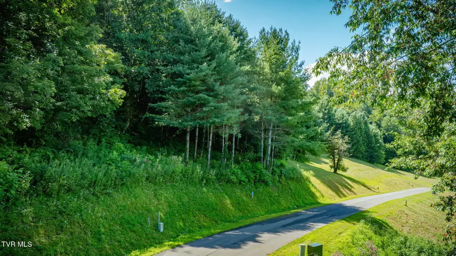 Lot 10 Cowan Town Road, Butler, TN 37640 - #2