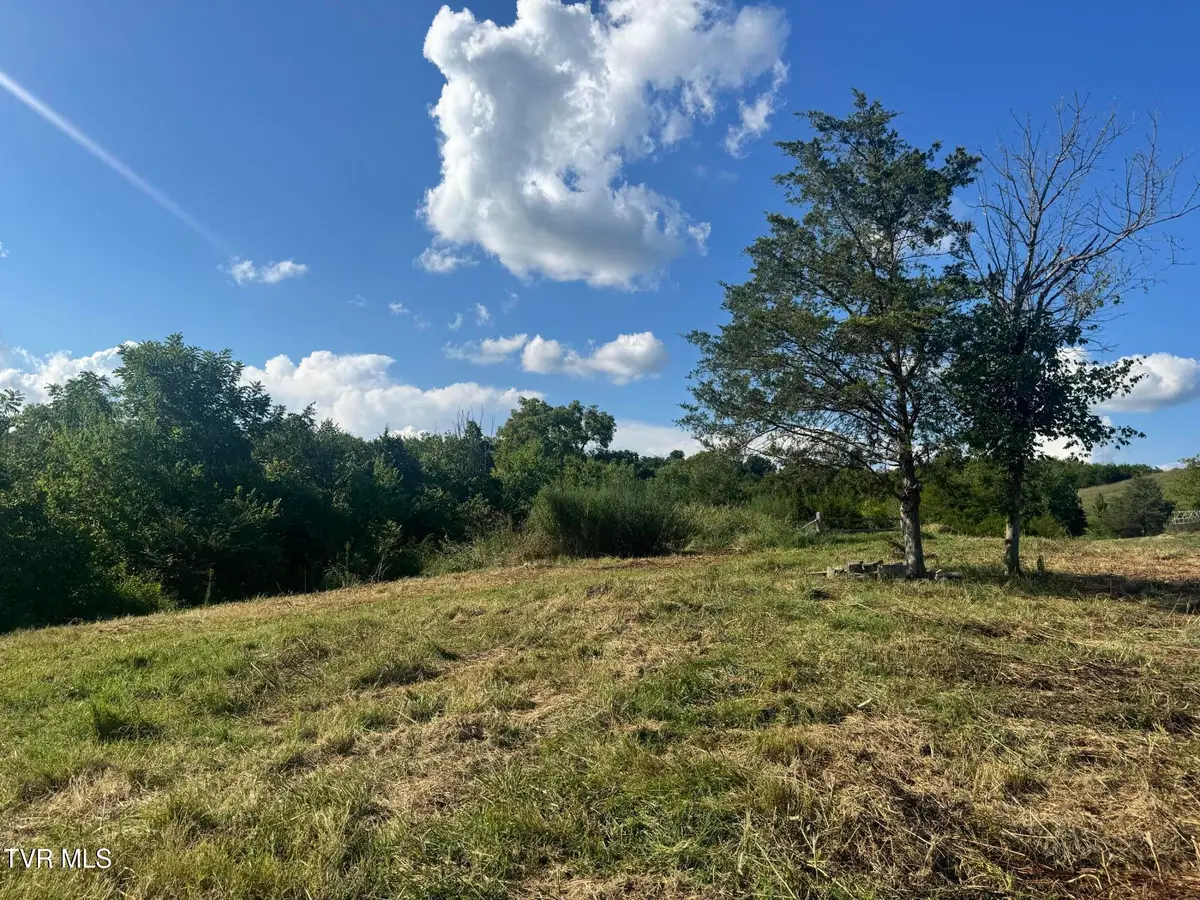 1430 Roaring Fork Road, Greeneville, TN 37745 - #1